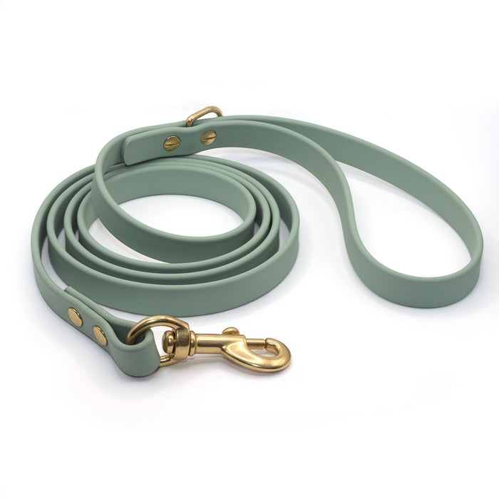 Sage green biothane dog leash coiled with brass hardware on a white background