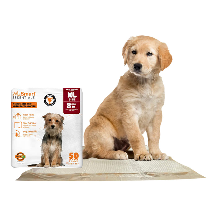 WizSmart Essentials Training Pads with Attractant for Dogs & Puppies
